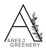 Areej Greenery